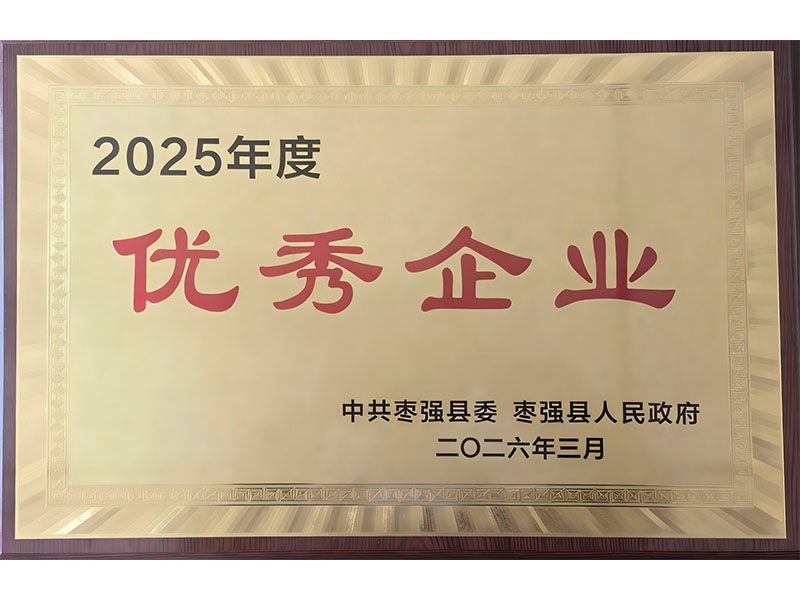 2025年度优秀企业